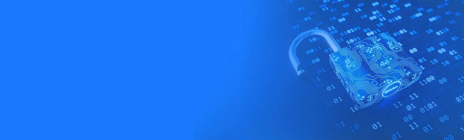 Security and Safety Header Image