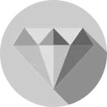 Silver Account Icon