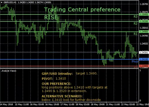 Analyst Views Image